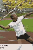 Montréal 2006 - Atletismo, Natação